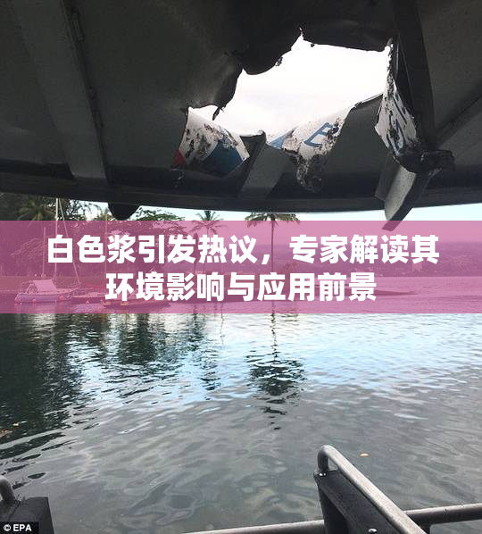 白色浆引发热议，专家解读其环境影响与应用前景