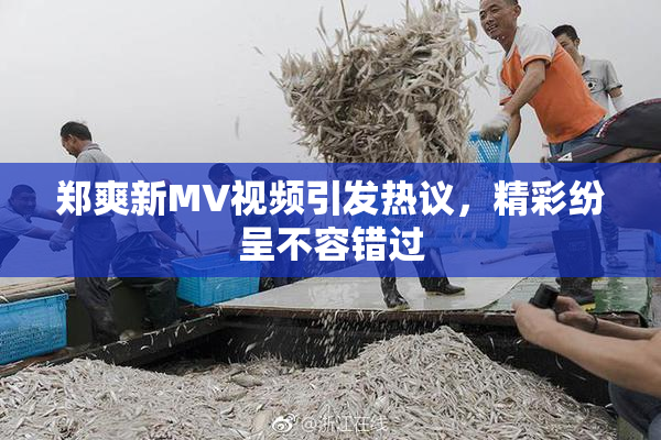郑爽新MV视频引发热议，精彩纷呈不容错过