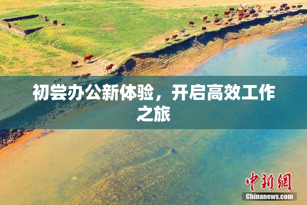 初尝办公新体验，开启高效工作之旅