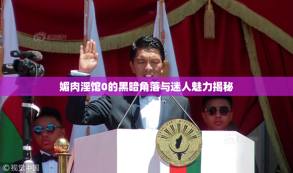 媚肉淫馆0的黑暗角落与迷人魅力揭秘