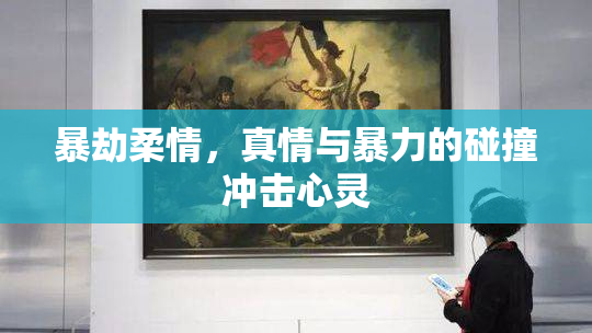 暴劫柔情，真情与暴力的碰撞冲击心灵