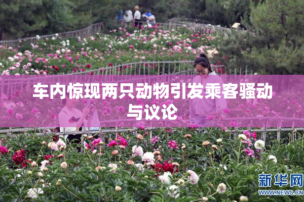 车内惊现两只动物引发乘客骚动与议论