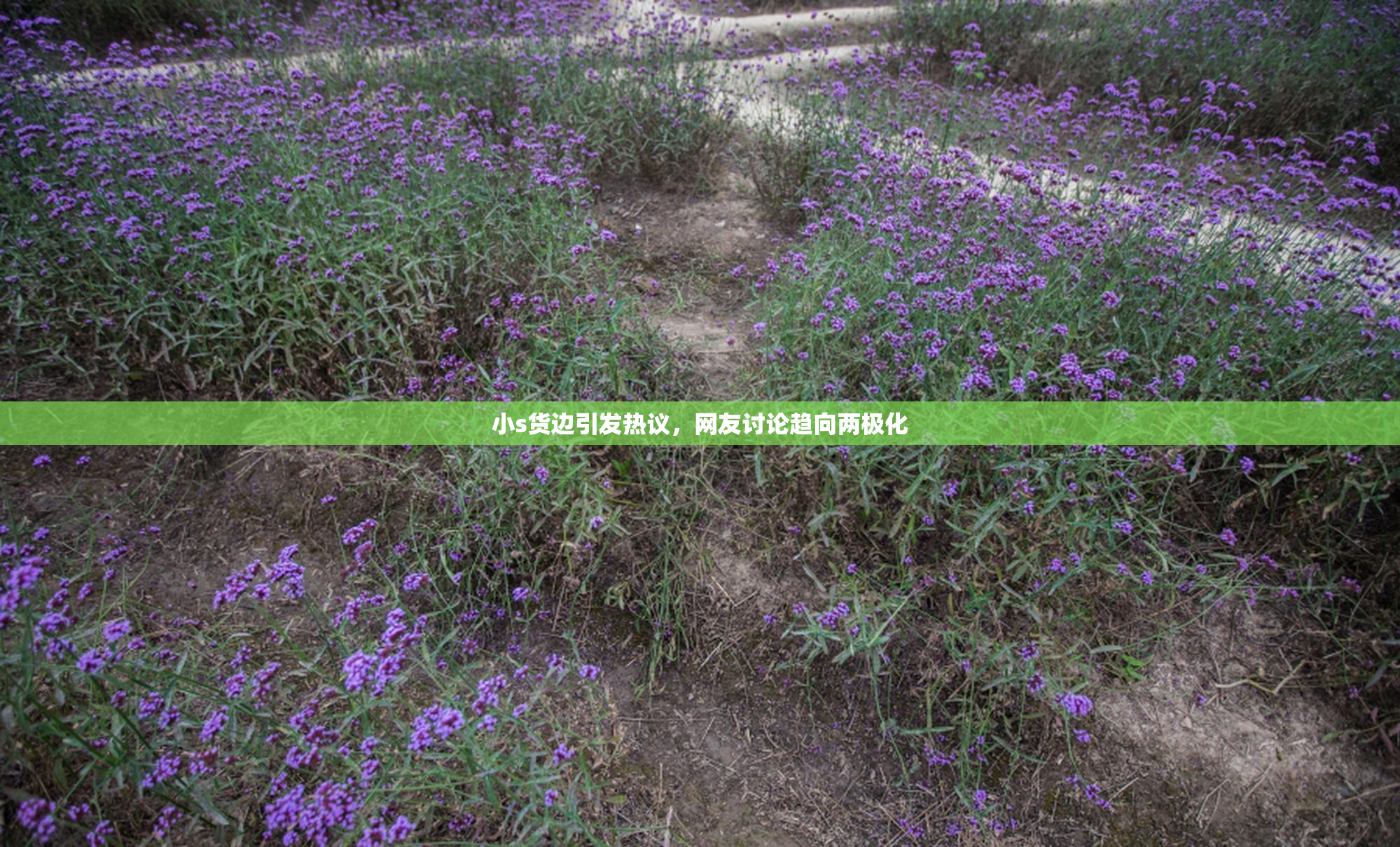 小s货边引发热议，网友讨论趋向两极化