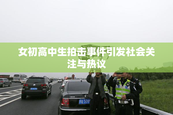 女初高中生拍击事件引发社会关注与热议
