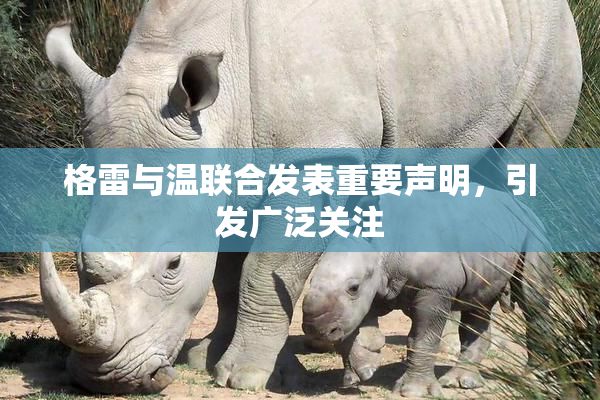 格雷与温联合发表重要声明，引发广泛关注