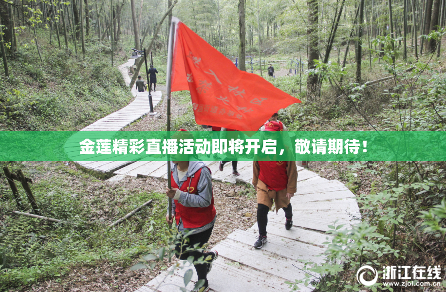 金莲精彩直播活动即将开启，敬请期待！