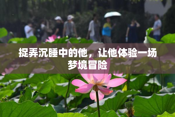 捉弄沉睡中的他，让他体验一场梦境冒险