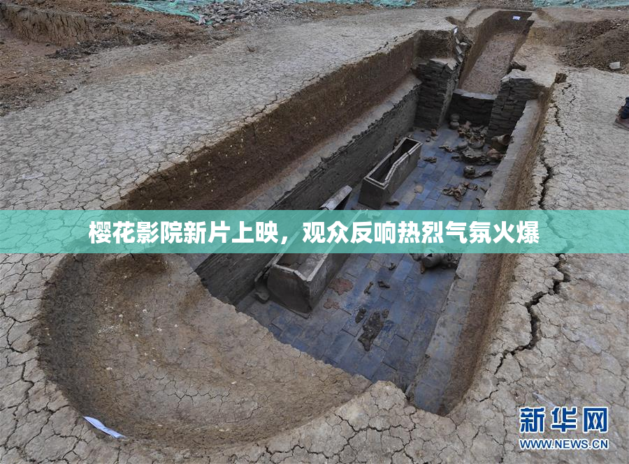 樱花影院新片上映，观众反响热烈气氛火爆