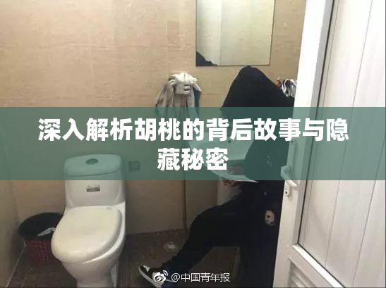 深入解析胡桃的背后故事与隐藏秘密
