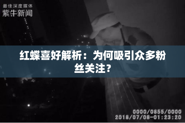 红蝶喜好解析：为何吸引众多粉丝关注？