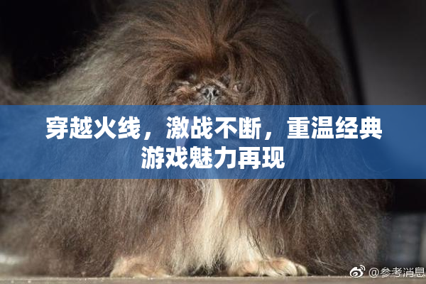 穿越火线，激战不断，重温经典游戏魅力再现