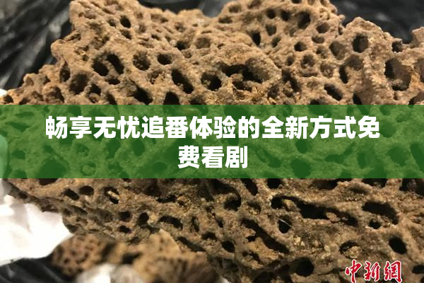 畅享无忧追番体验的全新方式免费看剧