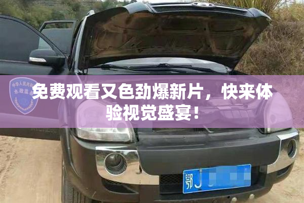 免费观看又色劲爆新片，快来体验视觉盛宴！