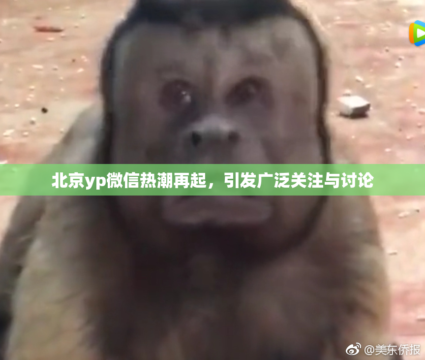 北京yp微信热潮再起，引发广泛关注与讨论