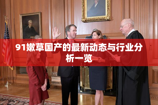 91嫩草国产的最新动态与行业分析一览