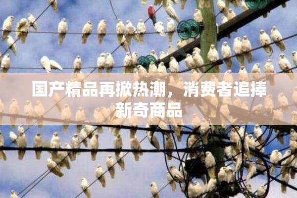 国产精品再掀热潮，消费者追捧新奇商品