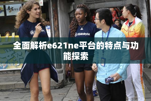 全面解析e621ne平台的特点与功能探索