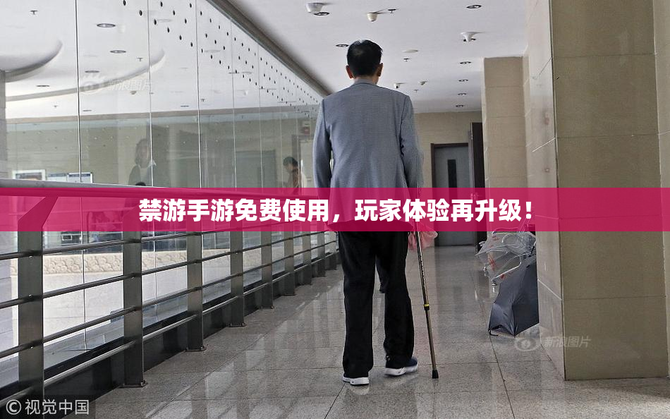 禁游手游免费使用，玩家体验再升级！