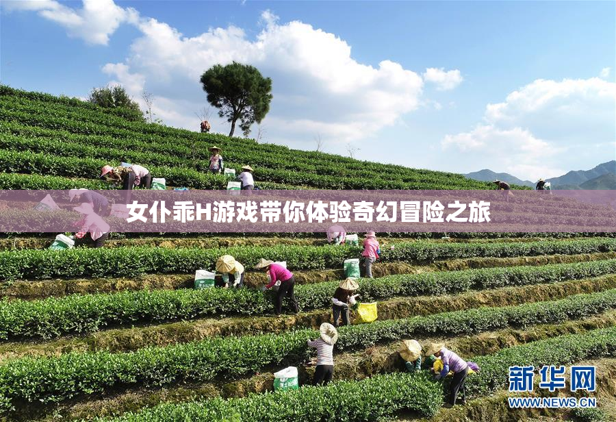 女仆乖H游戏带你体验奇幻冒险之旅