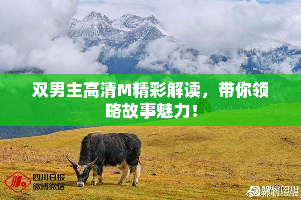 双男主高清M精彩解读，带你领略故事魅力！