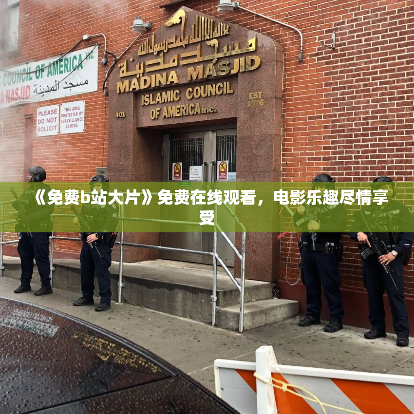《免费b站大片》免费在线观看，电影乐趣尽情享受