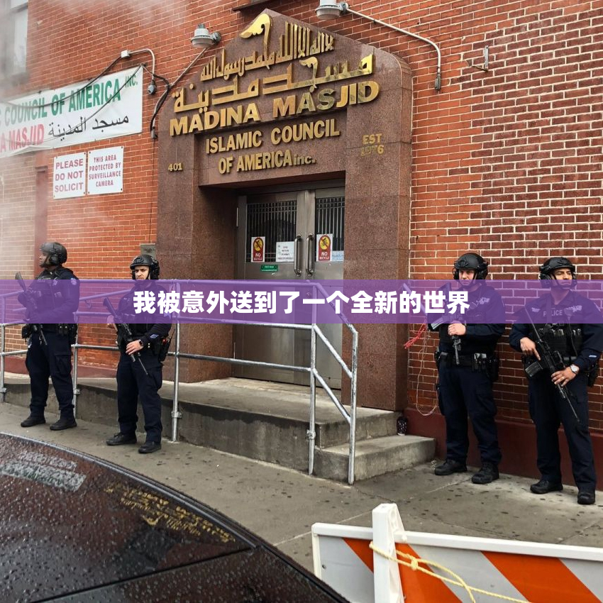 我被意外送到了一个全新的世界