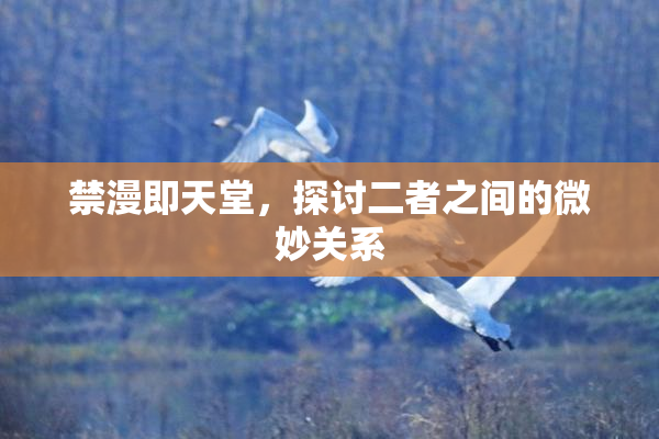 禁漫即天堂，探讨二者之间的微妙关系