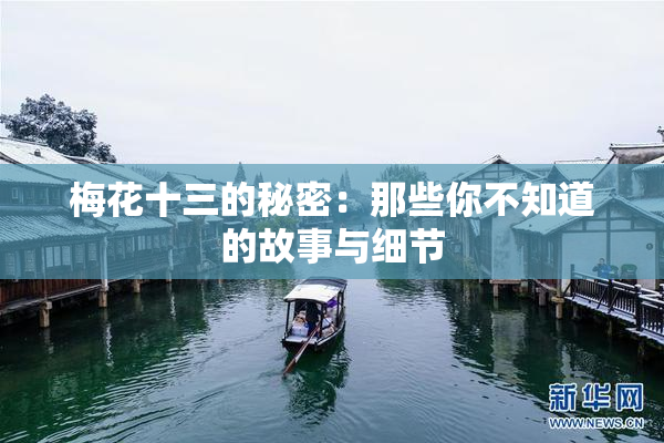 梅花十三的秘密：那些你不知道的故事与细节