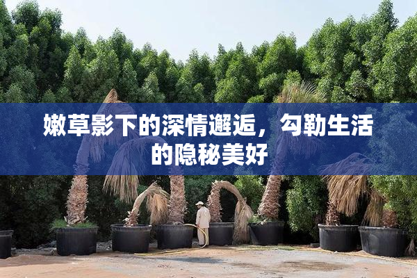 嫩草影下的深情邂逅，勾勒生活的隐秘美好