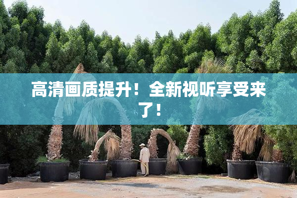 高清画质提升！全新视听享受来了！