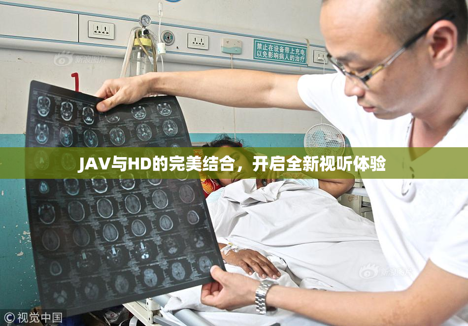 JAV与HD的完美结合，开启全新视听体验