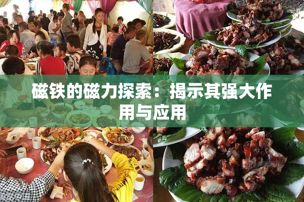 磁铁的磁力探索：揭示其强大作用与应用