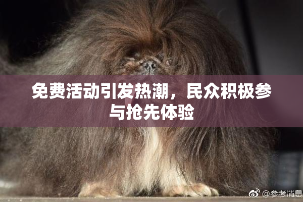 免费活动引发热潮，民众积极参与抢先体验