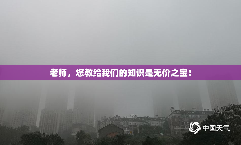 老师，您教给我们的知识是无价之宝！