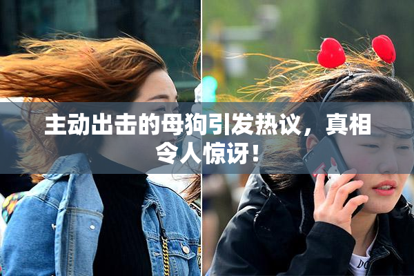 主动出击的母狗引发热议，真相令人惊讶！