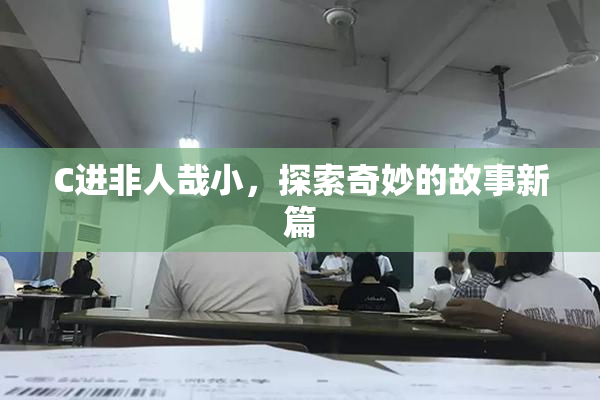 C进非人哉小，探索奇妙的故事新篇