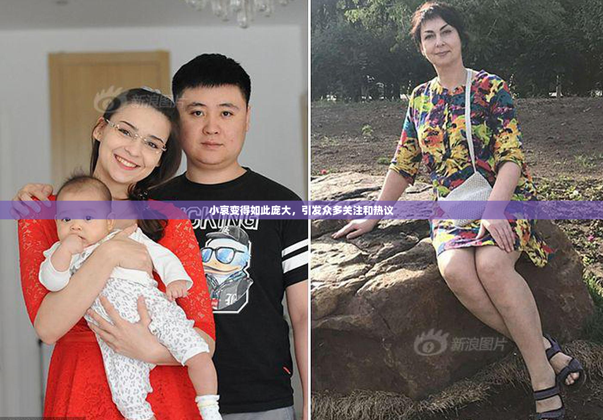 小哀变得如此庞大，引发众多关注和热议