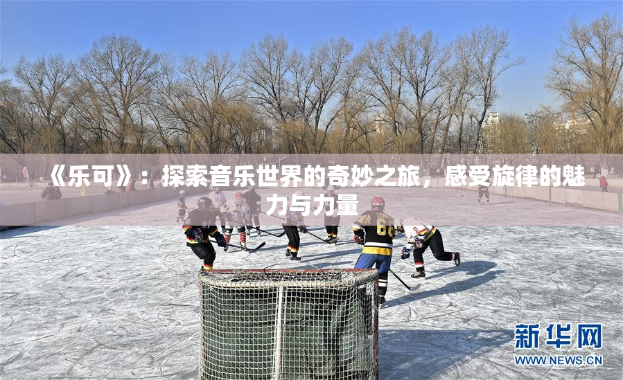 《乐可》：探索音乐世界的奇妙之旅，感受旋律的魅力与力量
