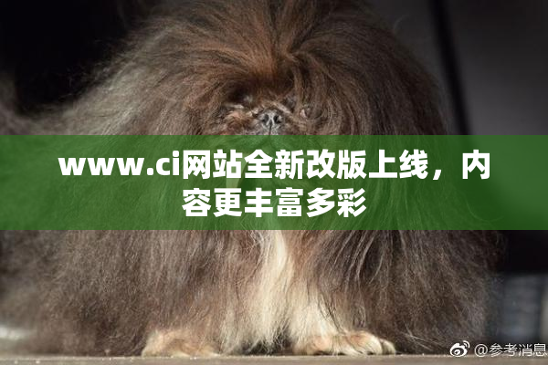 www.ci网站全新改版上线，内容更丰富多彩
