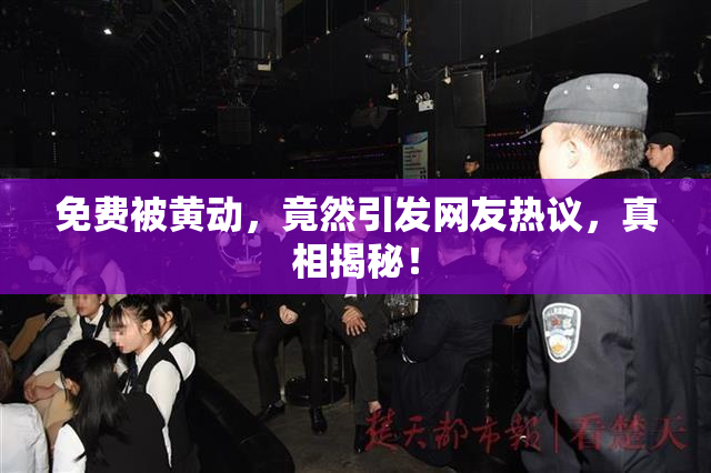 免费被黄动，竟然引发网友热议，真相揭秘！