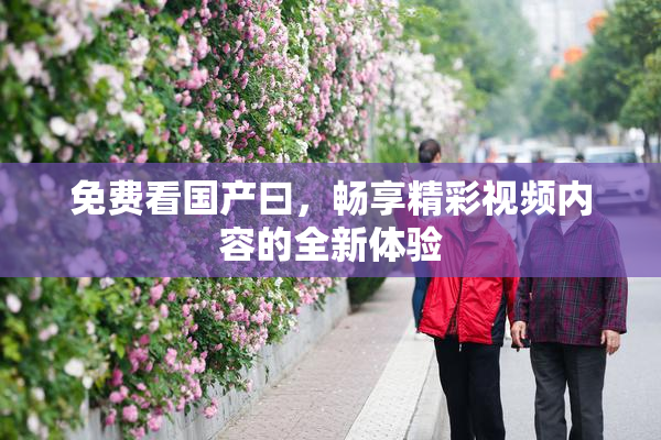 免费看国产曰，畅享精彩视频内容的全新体验