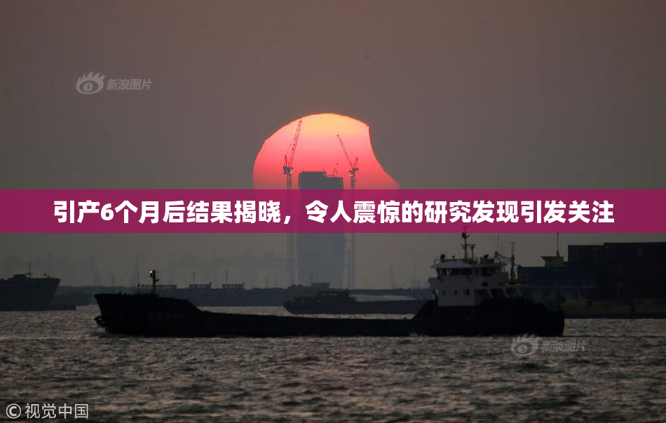 引产6个月后结果揭晓，令人震惊的研究发现引发关注