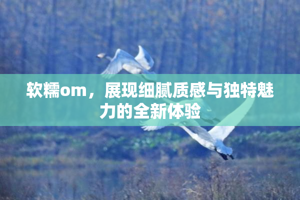 软糯om，展现细腻质感与独特魅力的全新体验