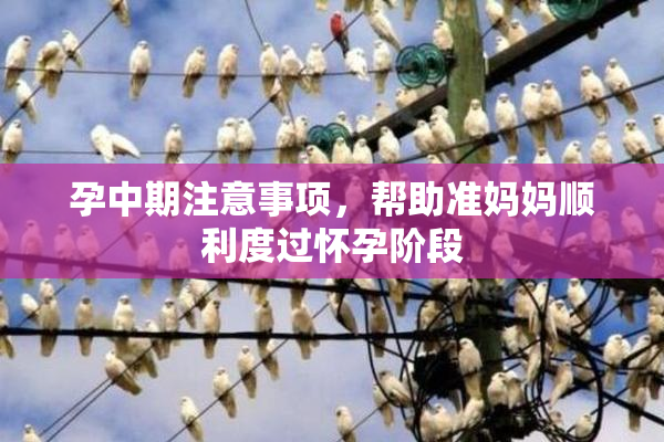 孕中期注意事项，帮助准妈妈顺利度过怀孕阶段