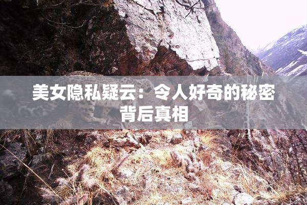 美女隐私疑云：令人好奇的秘密背后真相