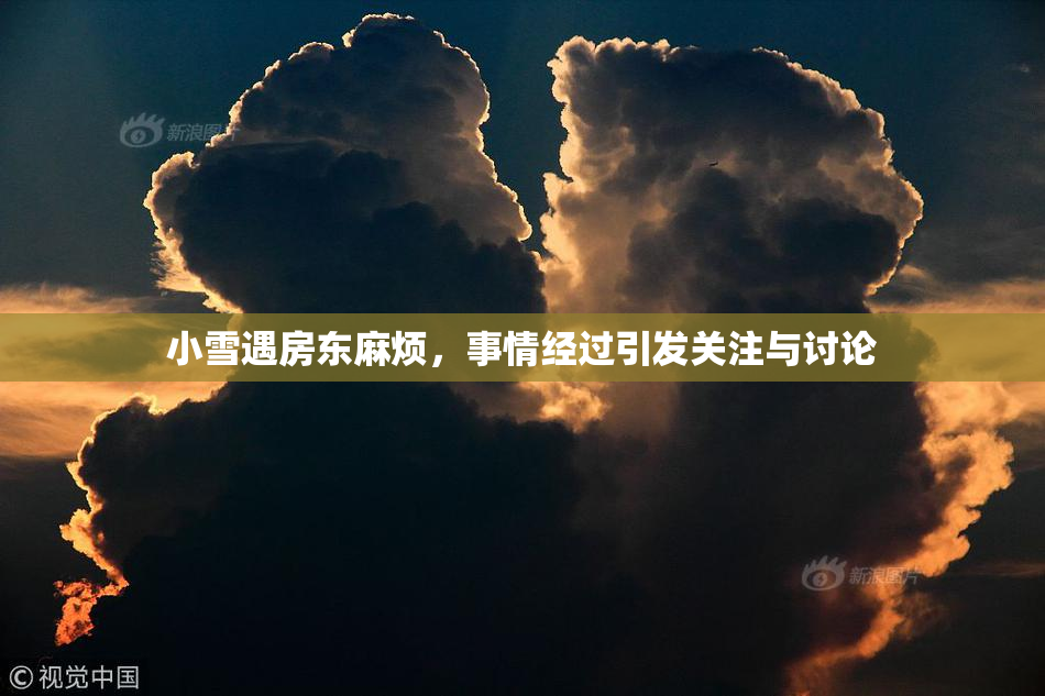 小雪遇房东麻烦，事情经过引发关注与讨论