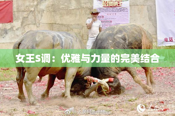 女王S调：优雅与力量的完美结合