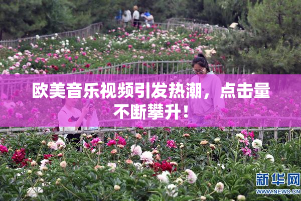 欧美音乐视频引发热潮，点击量不断攀升！