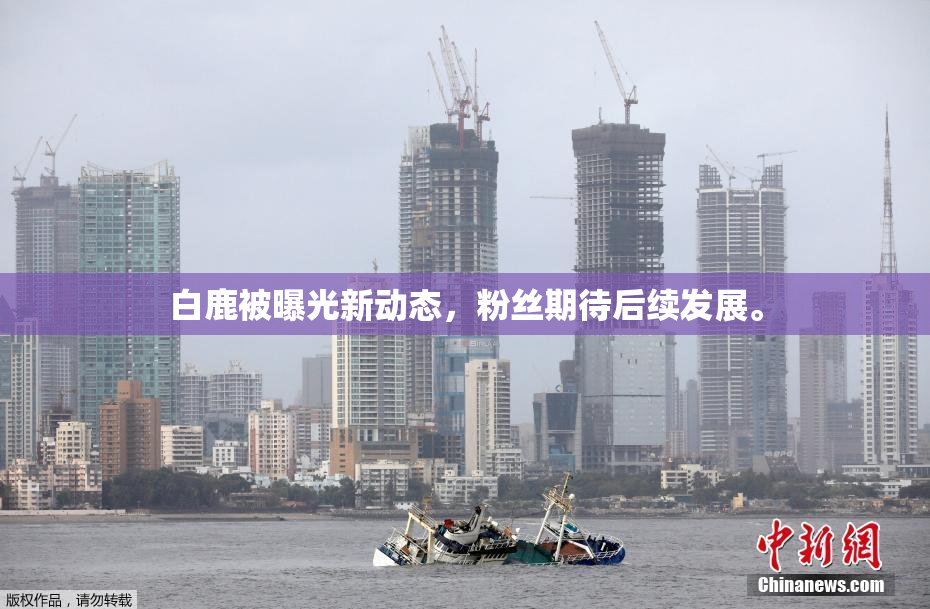 白鹿被曝光新动态，粉丝期待后续发展。