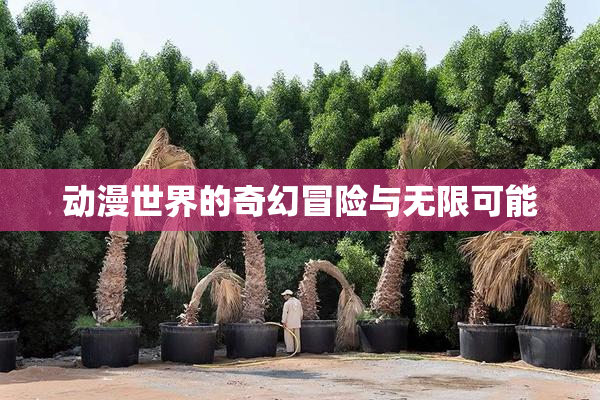 动漫世界的奇幻冒险与无限可能
